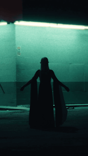 A Silhouette Of A Woman In A Long Dress Stands In Front Of A Sign That Says No Smoking GIF