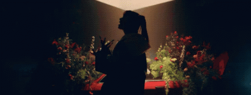 A Silhouette Of A Woman Standing In Front Of Flowers GIF