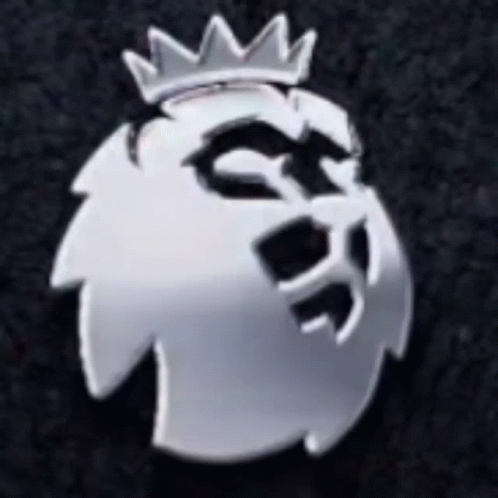 A Silver Lion With A Crown On Its Head Is On A Black Surface . GIF