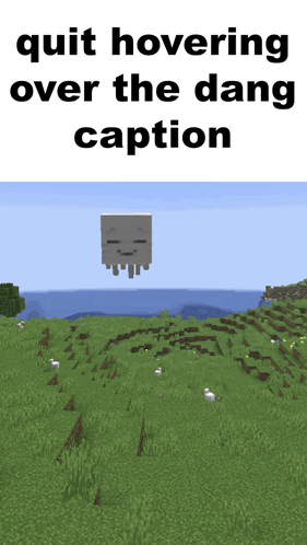 a skeleton is flying over a grassy field in a minecraft game