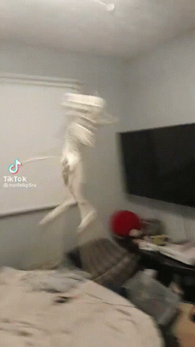 A Skeleton Is Jumping In The Air In A Room With A Tiktok Video GIF