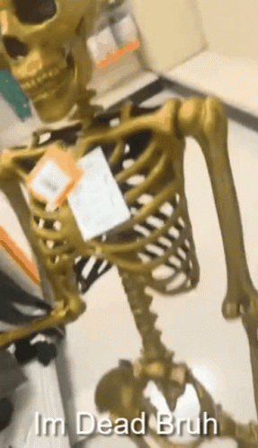 A Skeleton Is Standing In A Room With The Words I 'M Dead Bruh Written Below It . GIF