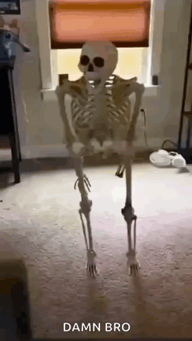 A Skeleton Is Standing In Front Of A Window With The Words Damn Bro Above It GIF