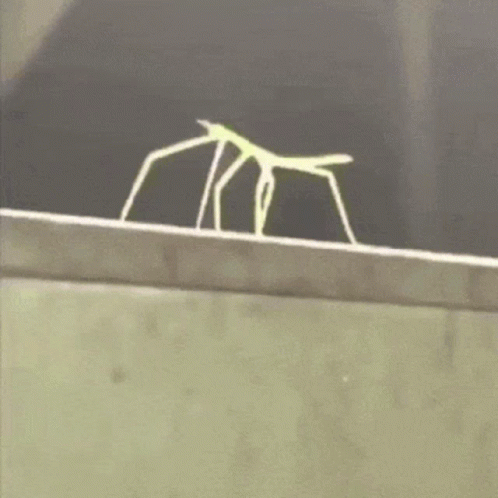 A Skeleton Is Standing On A Ledge On A Building . GIF