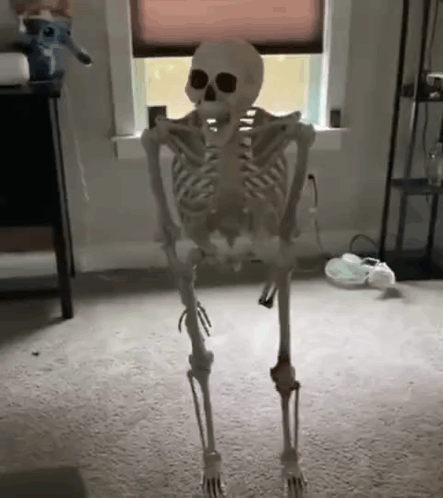 A Skeleton Is Standing On Its Hind Legs In A Living Room . GIF
