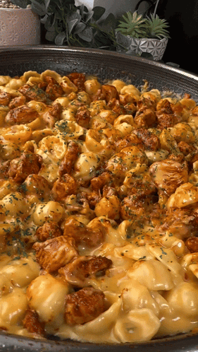 A Skillet Filled With Macaroni And Cheese With Chicken GIF