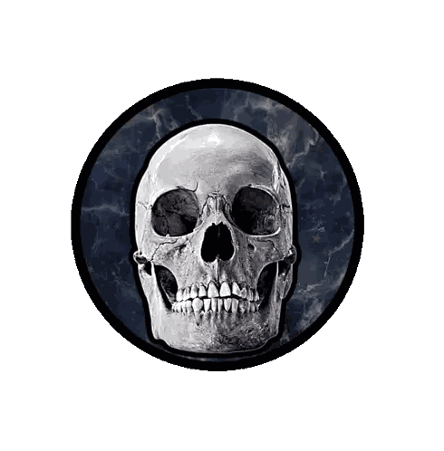 a skull is surrounded by black roses and an american flag background