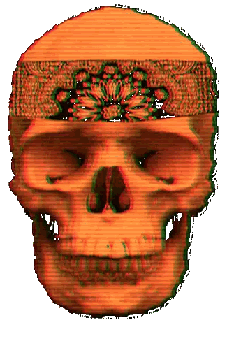 a skull with a flower on its head