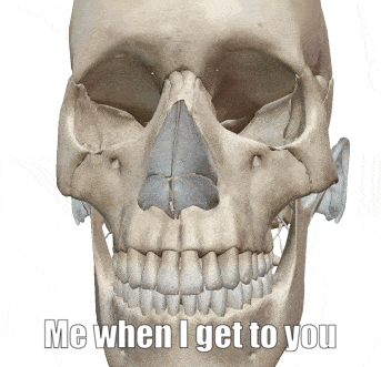 A Skull With The Words Me When I Get To You Written Below It GIF