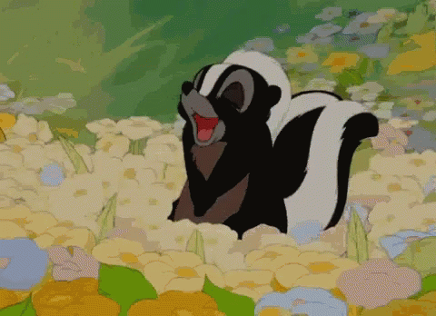 A Skunk Is Standing In A Field Of Flowers GIF