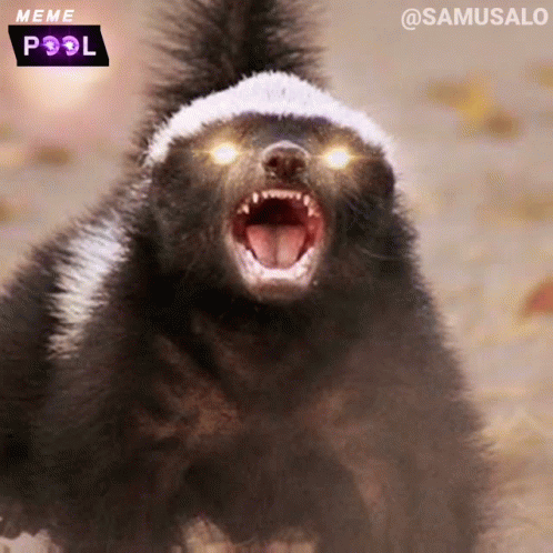 A Skunk With Glowing Eyes And A Meme Pool Logo In The Background GIF