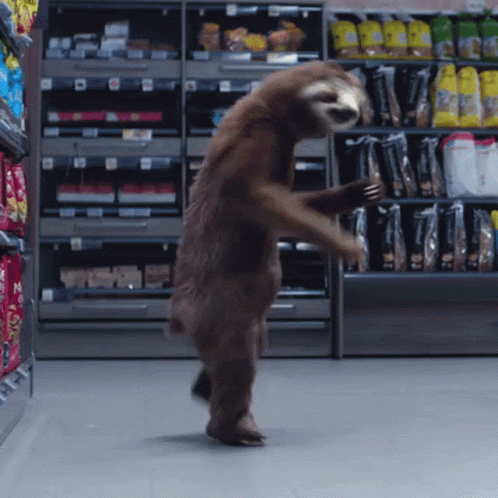 A Sloth Is Dancing In A Grocery Store GIF