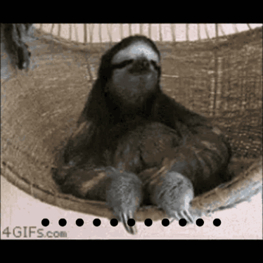 A Sloth Is Laying In A Hammock With A 4Gifs.com Logo In The Corner GIF
