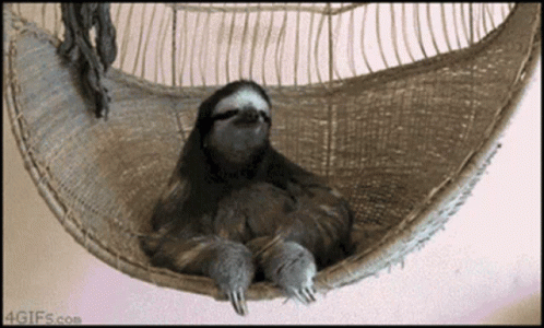 A Sloth Is Laying In A Hammock With The Website 4Gifs.com Visible GIF