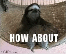 A Sloth Is Sitting In A Hammock With The Words `` How About '' Written On It . GIF