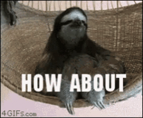 A Sloth Is Sitting In A Hammock With The Words " How About " Written On It GIF