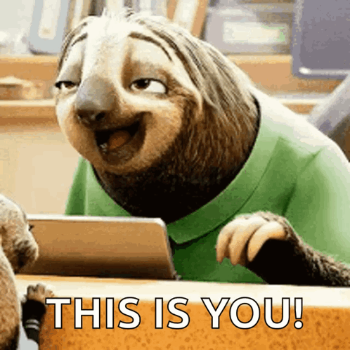 A Sloth Wearing A Green Shirt Is Sitting At A Table With A Tablet And Says This Is You ! GIF