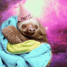 A Sloth Wearing A Pink Party Hat Wrapped In A Blanket GIF