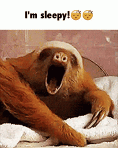 A Sloth With Its Mouth Open And The Words I 'M Sleepy GIF