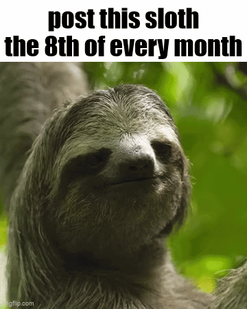 A Sloth With The Words Post This Sloth The 8Th Of Every Month GIF