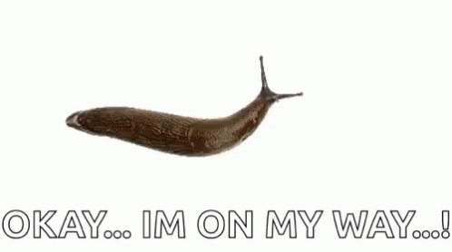 A Slug Is Crawling On A White Background With The Words `` Okay ... Im On My Way ... '' Written Below It . GIF