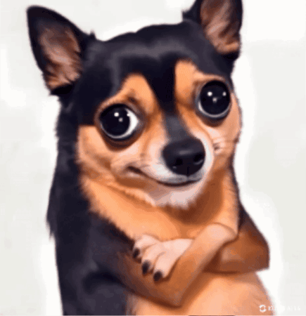A Small Brown And Black Dog With Big Eyes Making A Face GIF