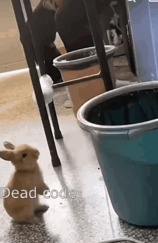 A Small Brown Rabbit Standing Next To A Blue Bucket That Says Read Code On The Floor GIF
