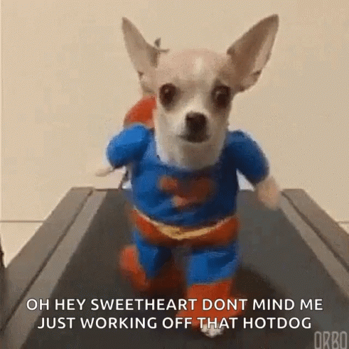 A Small Dog In A Superman Costume Is Running On A Treadmill GIF
