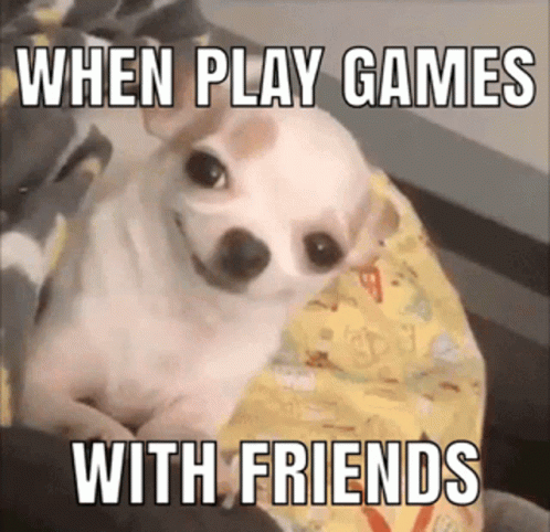 A Small Dog Is Laying On A Bed With A Meme That Says When Play Games With Friends . GIF