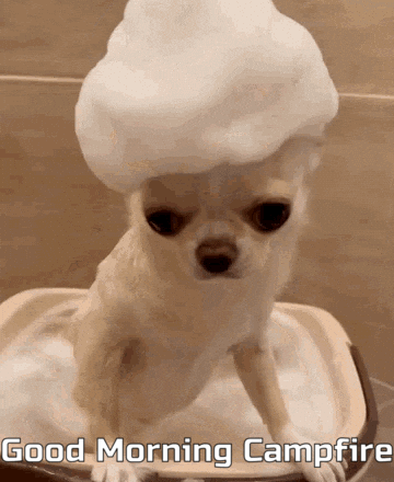 A Small Dog Is Taking A Bath With Foam On Its Head And The Words Good Morning Campfire Written Below It GIF