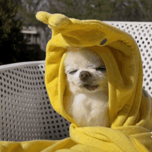 A Small Dog Is Wearing A Yellow Hooded Blanket GIF
