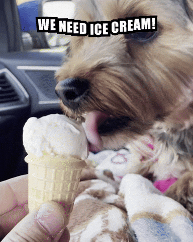 A Small Dog Licking An Ice Cream Cone With The Words We Need Ice Cream Written Above It GIF