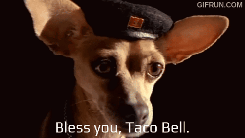 A Small Dog Wearing A Black Hat With The Words Bless You Taco Bell Below It GIF