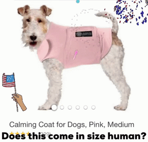 A Small Dog Wearing A Pink Calming Coat GIF