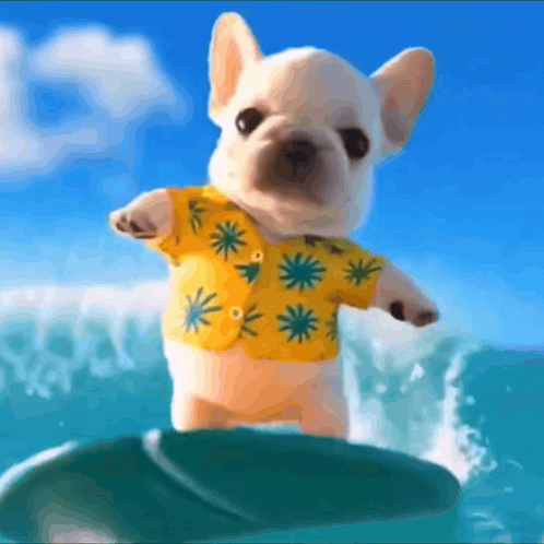 A Small Dog Wearing A Yellow Shirt Is Riding A Surfboard GIF