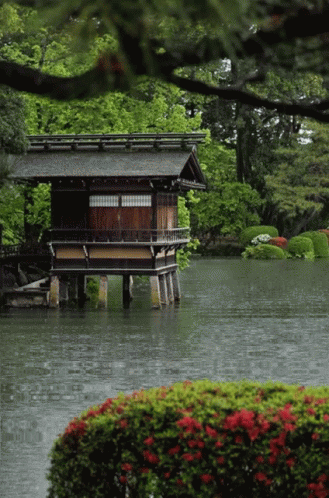 A Small House Sits On Stilts Over A Body Of Water GIF