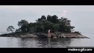 A Small Island In The Middle Of A Body Of Water Surrounded By Trees . GIF