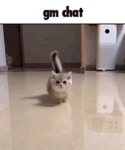 a small kitten is walking on a marble floor in a room .