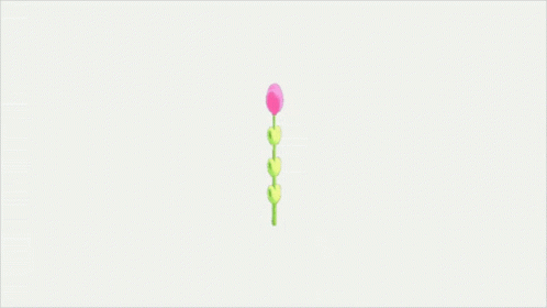 A Small Pink Flower With Green Leaves On A White Background GIF