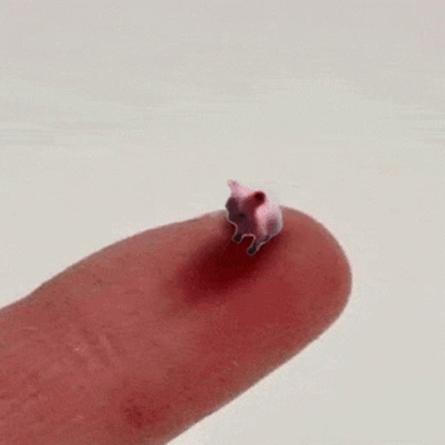 A Small Pink Pig Is Sitting On A Finger . GIF