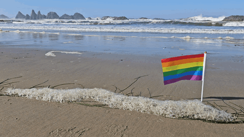 A Small Rainbow Flag Is On The Beach Near The Water GIF