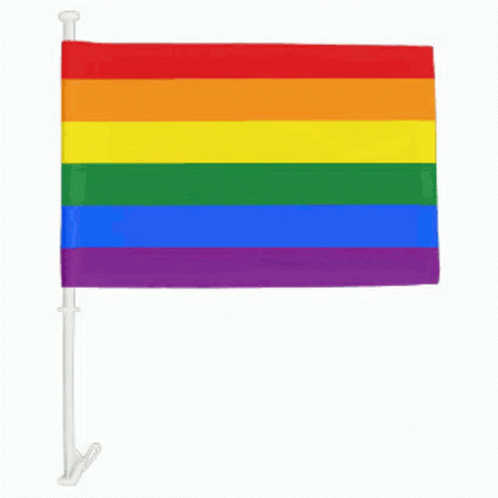 A Small Rainbow Flag With A White Pole Attached To It GIF