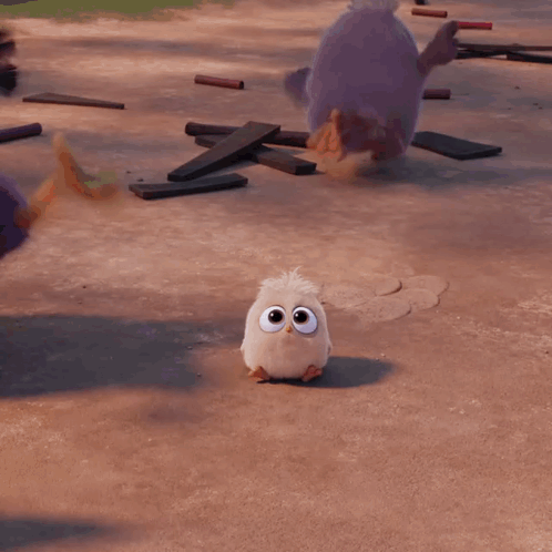 White Cartoon Bird With Big Eyes And Yellow Beak GIF