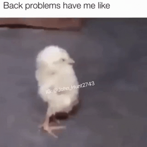 A Small White Chicken Is Walking On Its Hind Legs On A Gray Surface . GIF