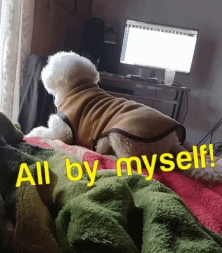 A Small White Dog Is Laying On A Bed With The Words All By Myself Written On It GIF