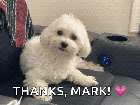 Small White Dog Laying On Couch Thanks Mark GIF