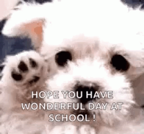 A Small White Dog Is Waving Its Paw At The Camera . GIF