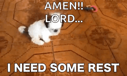 A Small White Dog Laying On A Tiled Floor With The Words Amen Lord I Need Some Rest GIF