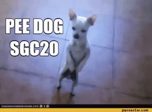 A Small White Dog Standing On Its Hind Legs With The Words " Pee Dog Sgc20 " Written Above It GIF