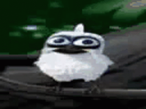 A Small White Owl With Big Eyes Is Sitting On A Black Object . GIF